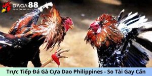 Trực tiếp đá gà cựa dao Philippines
